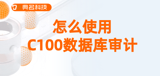 怎么使用C100数据库审计