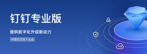 钉钉专业版指定应用抵扣券1000元