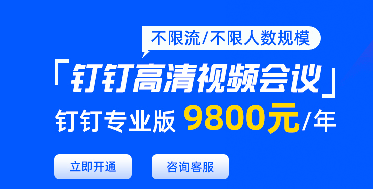 钉钉专业版能够随时开视频会议吗