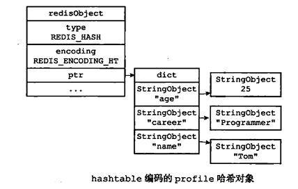 哈希对象结构如下图所示