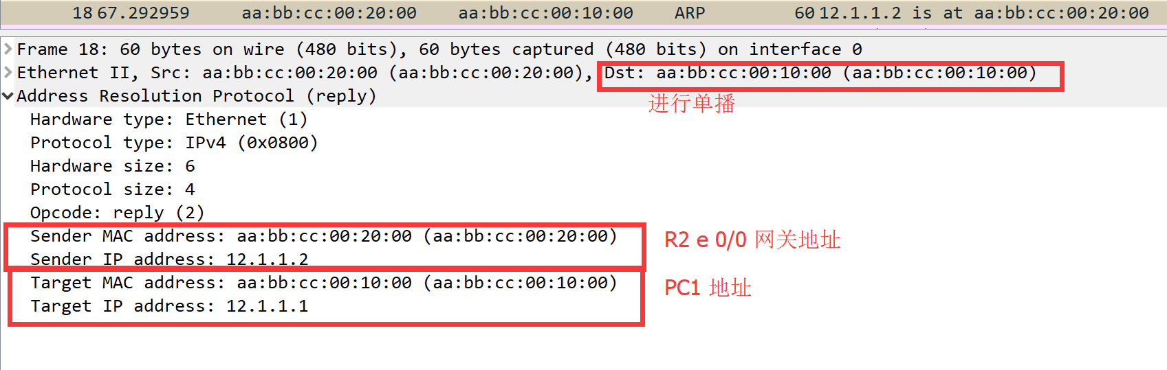 获取网关MAC，报文如下