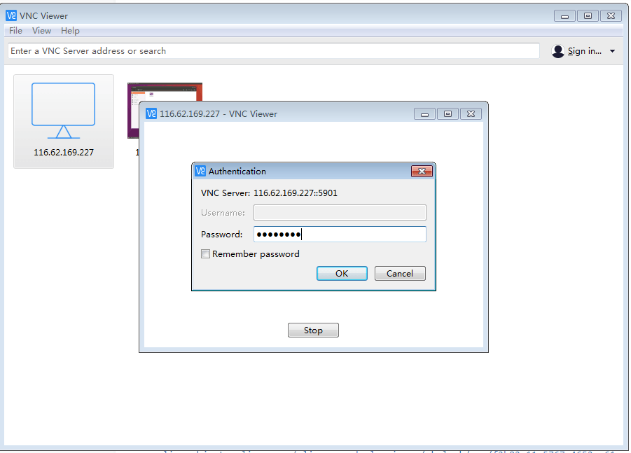 输入之前设置的VNC密码后点击连接